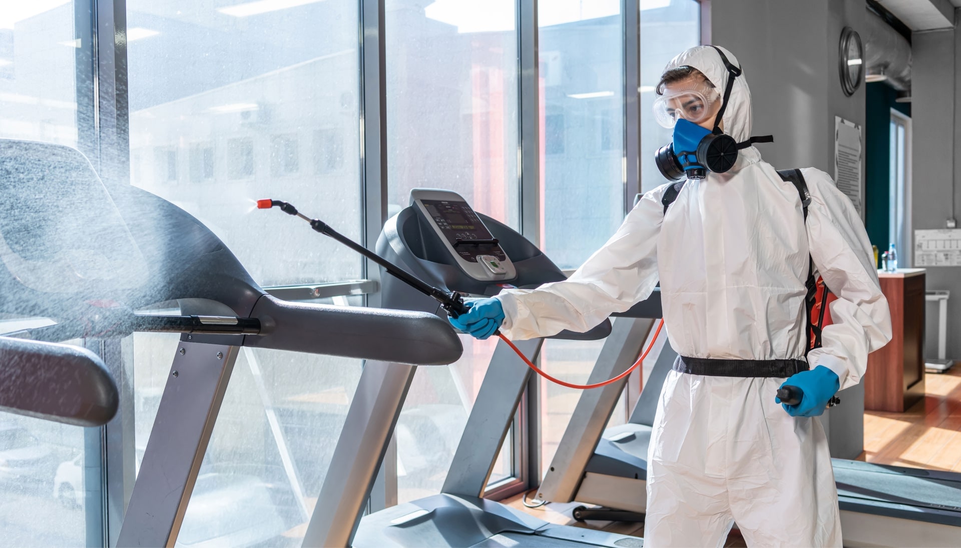 Commercial Mold Removal Services in Affton