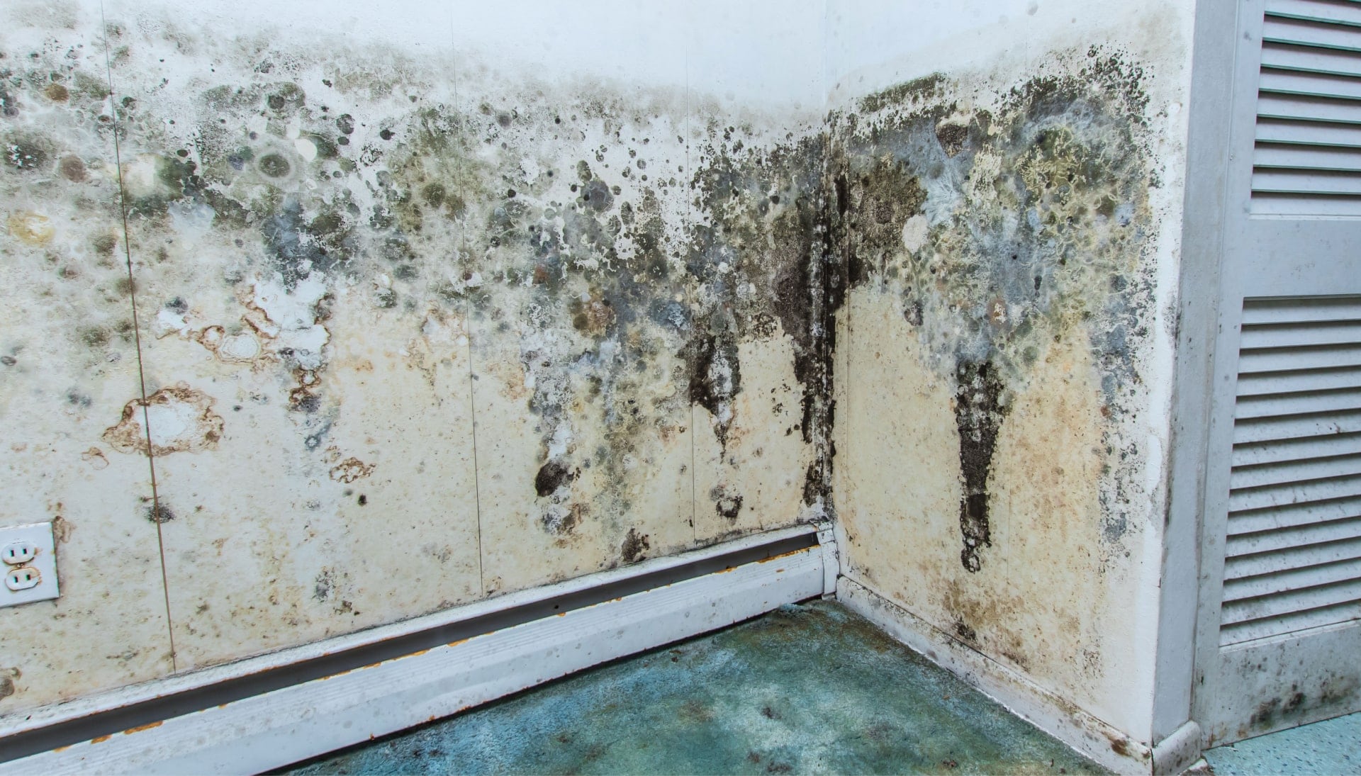 Mold Damage Odor Control Services in Affton