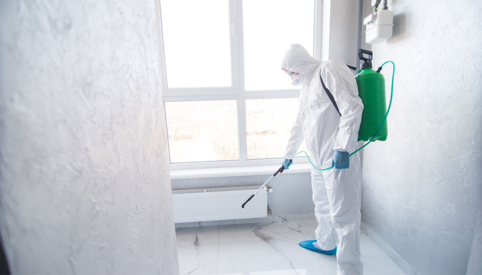 Mold Inspection Services in Affton